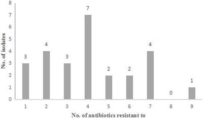 Antimicrobial Susceptibility, and Molecular Characterization of Staphylococcus aureus Isolated From Different Raw Milk Samples in China